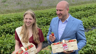 Erdbeersaison 2026 in Hessen gestartet: Auftakt mit Krönung