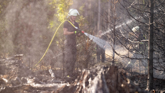 Wie Forst und Feuerwehr Waldbrände besser bekämpfen wollen