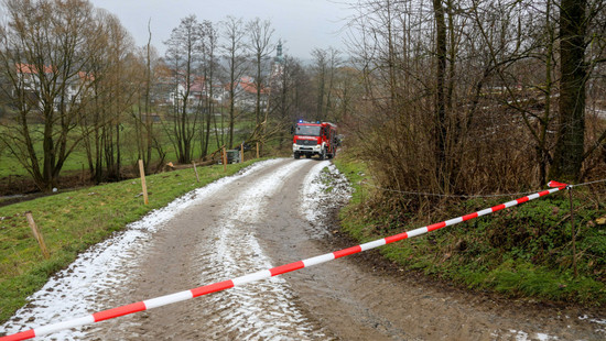 Unter Baumstamm eingeklemmt: Mann stirbt nach Unglück in Kleinsassen