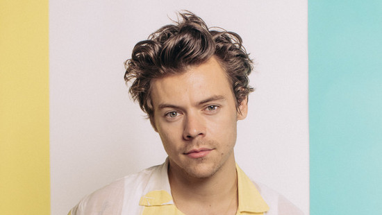 harry styles: bester viraler moment für tiere