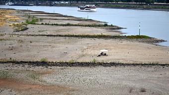Niedrigwasser im Rhein: NRW fordert Taskforce und Geld