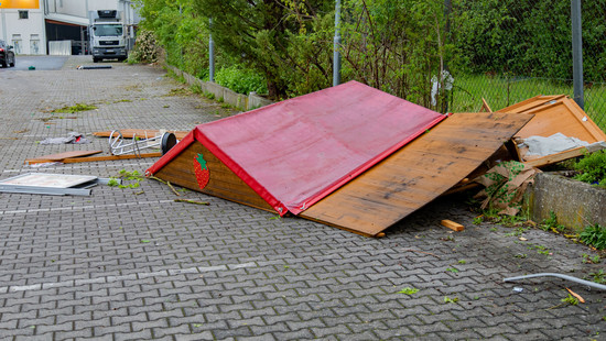 Unwetter über Hessen: Hund und Herrchen nach Blitzeinschlag gerettet