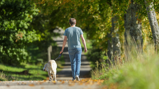 Vorsichtig sein: Giftköder-Verdacht in Darmstadt und Mühltal