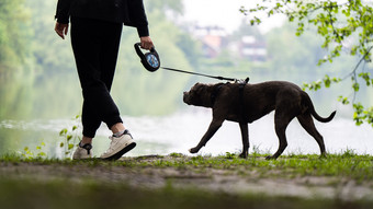 Darmstadt: Mutmaßliche Hunde-Giftköder gefunden