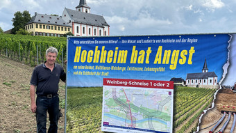 Hochheimer Winzer in Sorge - Gleichstromtrasse quer durch Weinberge?