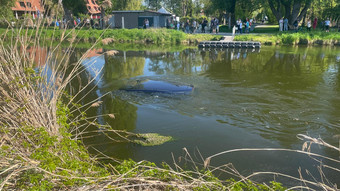 22-Jähriger steigt in fremdes Auto und versenkt den Wagen in der Werra