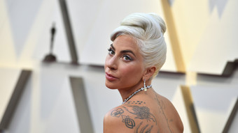 lady gaga: hunderäuber verurteilt