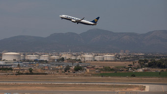 Hundewelpe stört Flugbetrieb am Mallorca-Flughafen