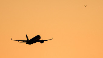 Sex im Flugzeug: Paar in Argentinien nach Landung gefasst