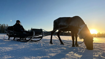 das planet radio gefinnspiel: gewinn eine reise nach finnisch lappland