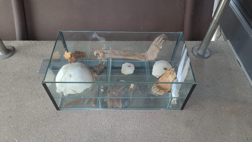 In Speyer abgestellt: Wem gehören die 1000 Jahre alten Knochen?