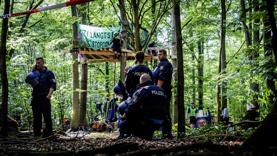 Protestcamp im Wald beim Langener Waldsee: Aktivisten gegen Kiesabbau
