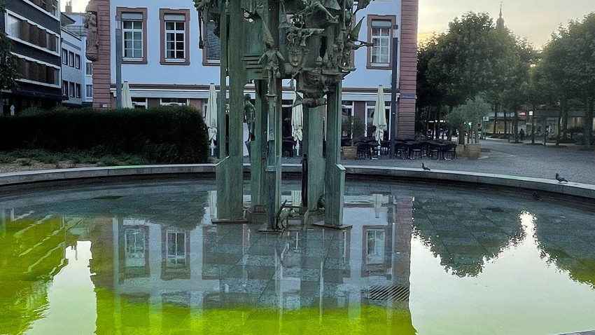 Klima-Aktivisten färben Mainzer Brunnen grün