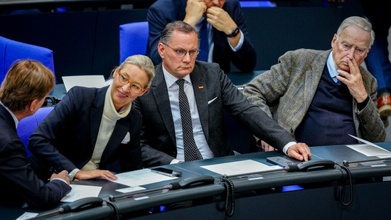 Streit mit Verfassungsschutz - AfD: «1:0 für uns»