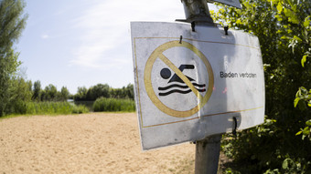Fünf vermisste Schwimmer im Rhein bei Biblis