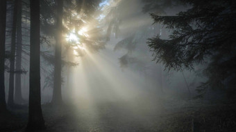 Das Hessenwetter am 3. Advent: mild mit Nebel und Sonne