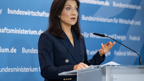 Reiches umstrittene Energiereformen - das steckt drin