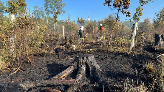 Waldbrand bei Helsa und Kaufungen unter Kontrolle