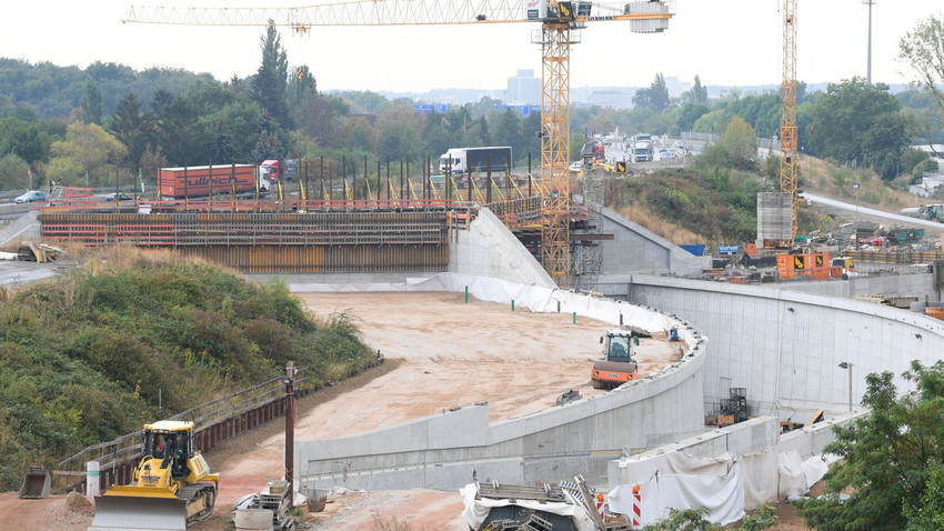 Riederwaldtunnel Bau: Letzte Bäume gefällt