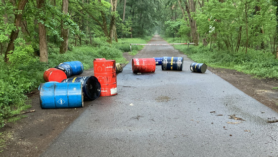 Sauerei in Mainhausen: Ölfässer einfach im Wald entsorgt