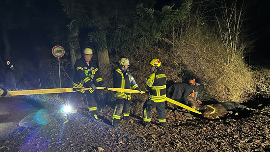 Feuerwehr Alsfeld rettet 33 Jahre altes Pferd aus Graben