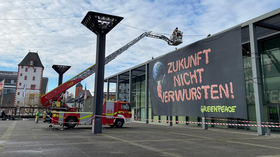 Protest gegen Fleischkongress in Mainz