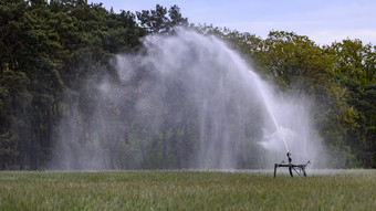 Beregnungsanlage eines Landwirts flutet die A65 bei Haßloch