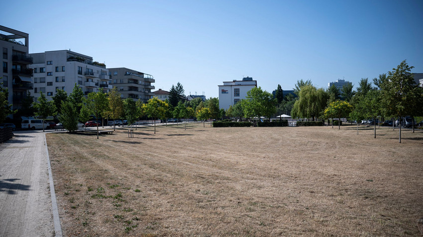 Trockenheit in Hessens Städten: Kosten für Parks explodieren