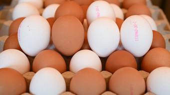 Eier auch in Hessen knapper und teurer - Entwarnung vom Bauernverband