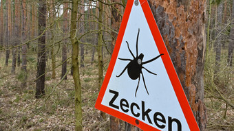 Zecken nach mildem Winter schon aktiv - Hohes FSME-Risiko in Südh