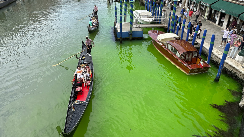 Canal Grande in Venedig: Grüne Flüssigkeit ist ungefährlich