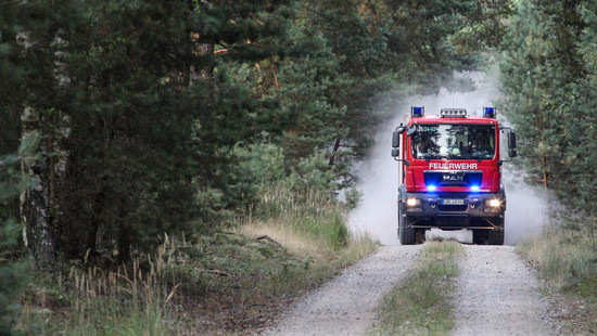 Waldbrand-Gefahr steigt wieder: Besonders in Südhessen hohes Risiko