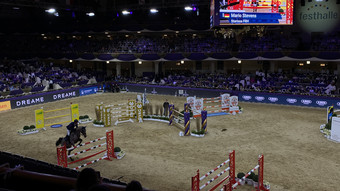 Festhallen-Reitturnier mit "Heimsieg" und Werth-Comeback