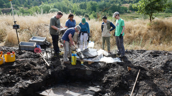 Bereits mehr als 800 Fossilien-Funde in Grube Messel