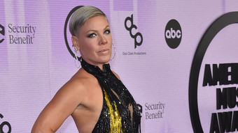 pink: auf konzert beworfen