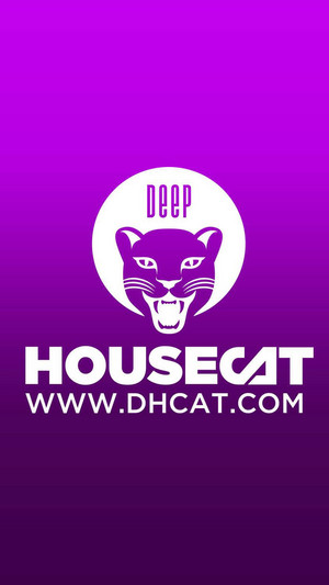 Deep House Cat
