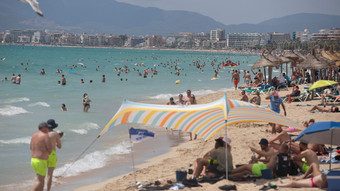 Hai-Alarm auf Mallorca: Urlauberin am Ballermann verletzt