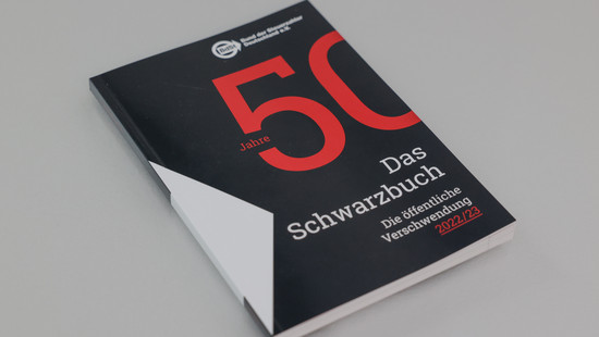 Schwarzbuch zeigt Steuerverschwendung auf: Elf Fälle aus Hessen