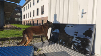 Kind in Beverungen auf Drogen führt Polizei zu Riesen-Fund