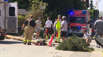 Maibaum umgestürzt: Verletzte am Niederrhein