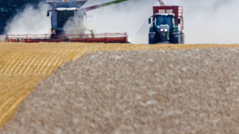 Bauernverband befürchtet teils totalen Ernteausfall