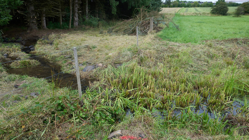 Belohnung für Fund von Dreifachmörder im Westerwald ausgezahlt