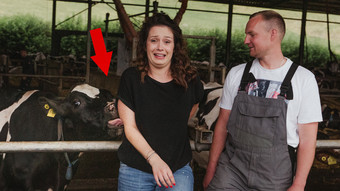 yella: kühe melken in cornberg-königswald