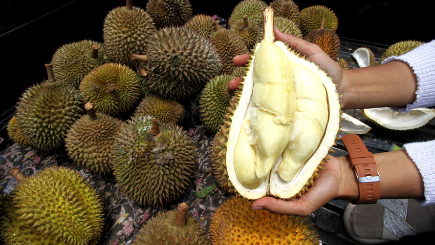 Feuerwehreinsatz in Wiesbaden wegen Durian "Stinkfrucht"