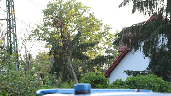 Gefällter Baum sorgt für Chaos: Feuer und Zugausfälle bei Weiterstadt