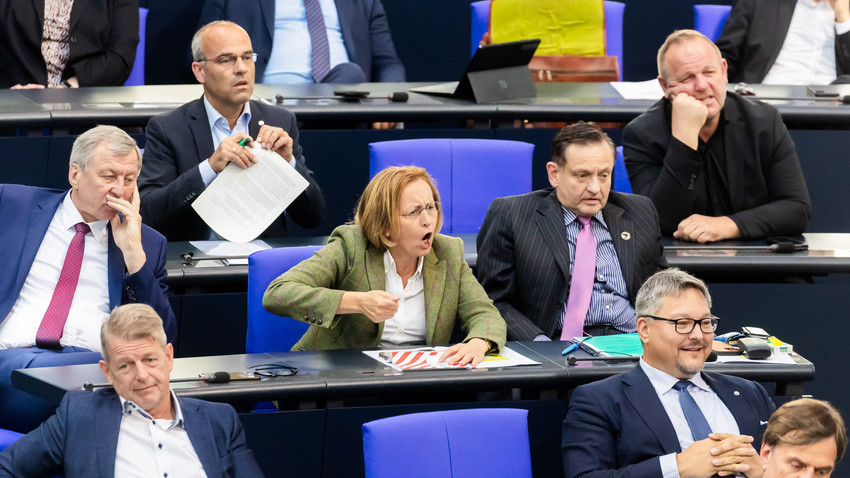Bundestag: Höhere Strafen für pöbelnde Abgeordnete